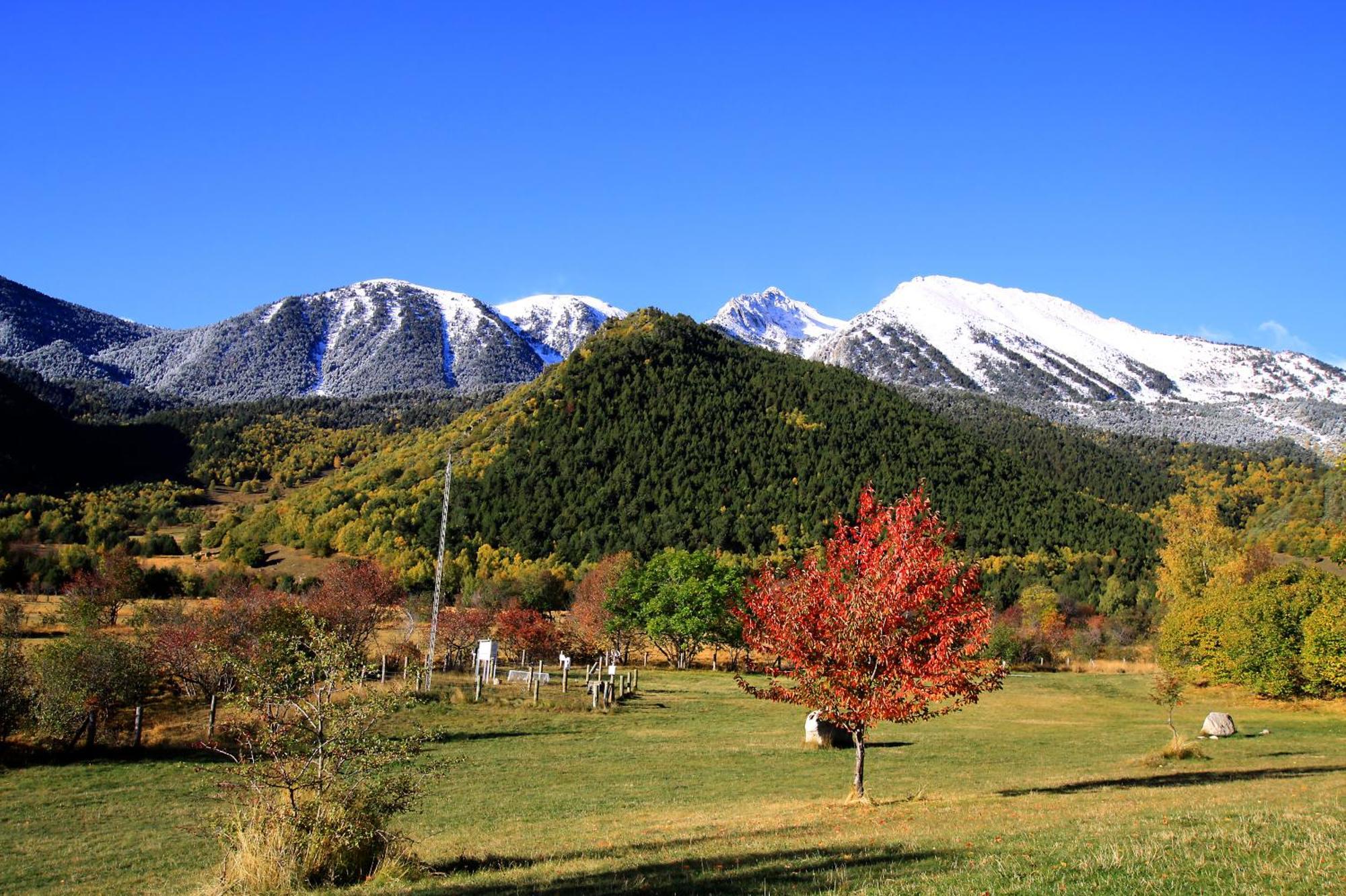 Monnatura Pirineus Son Del Pi ภายนอก รูปภาพ